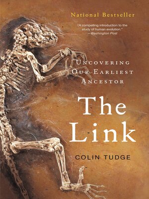 The Link - ebook